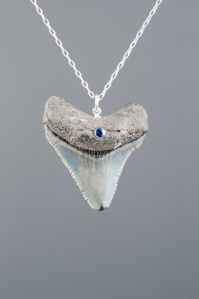 NEW! Megalodon Tooth Necklace With Blue Sapphire – STICKS & STONES JEWELRY