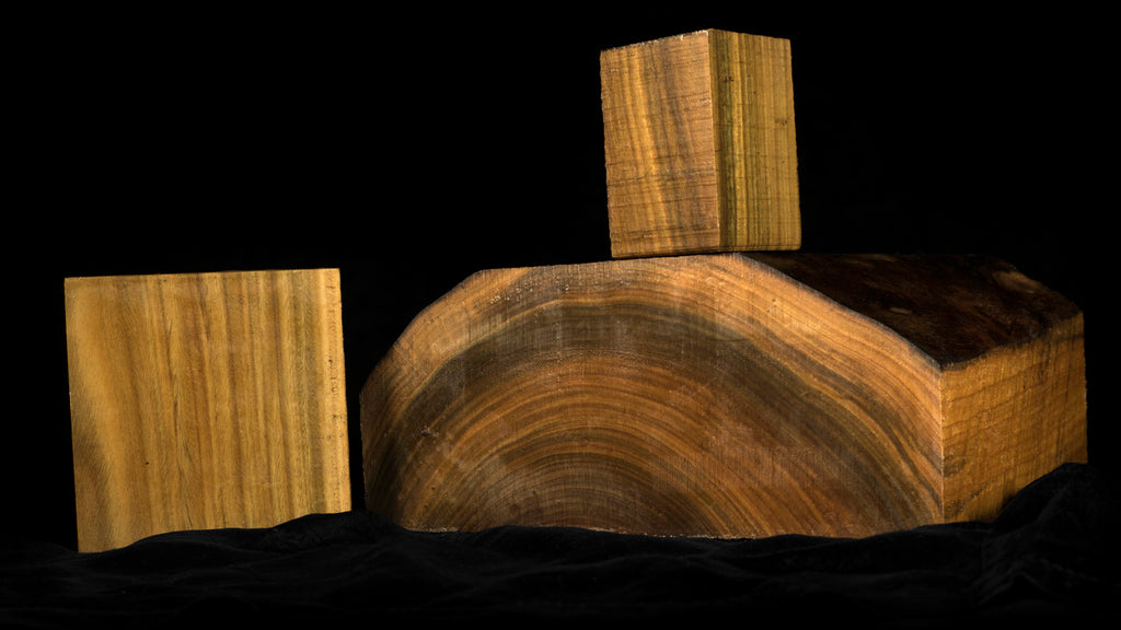 Lignum Vitae: A Fascinating Species of Wood