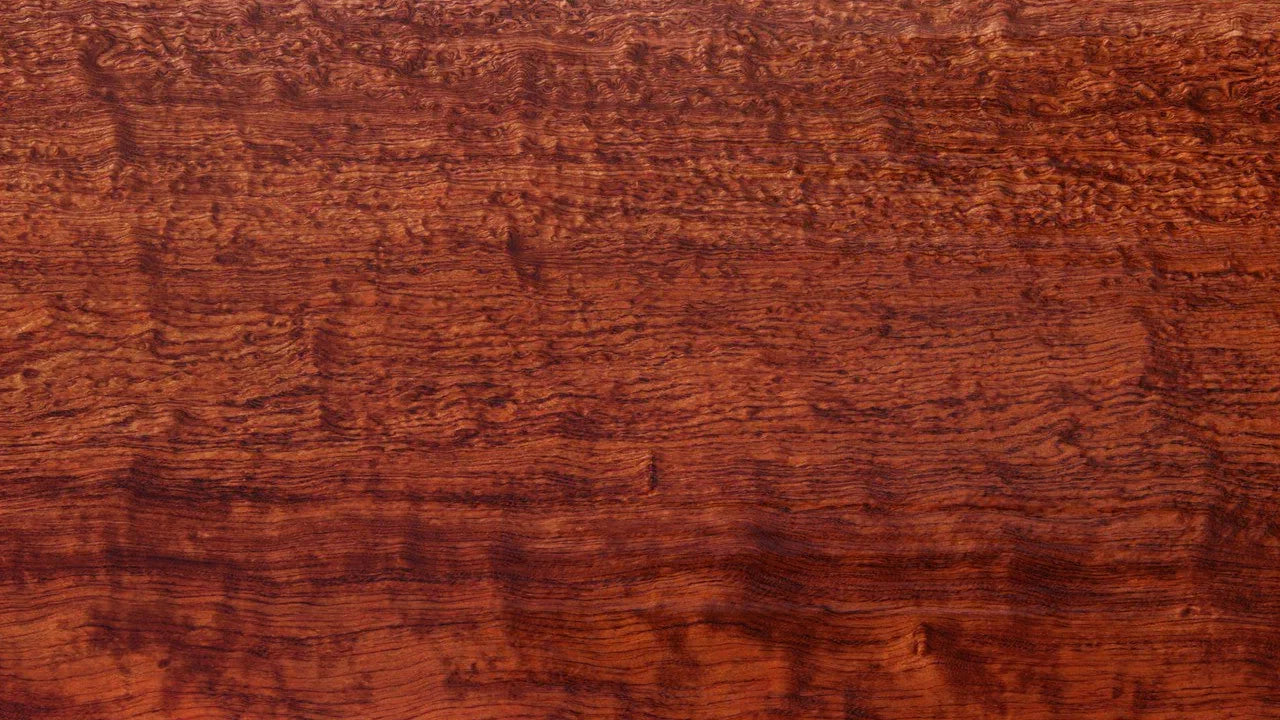 pomelle_bubinga_featured_image