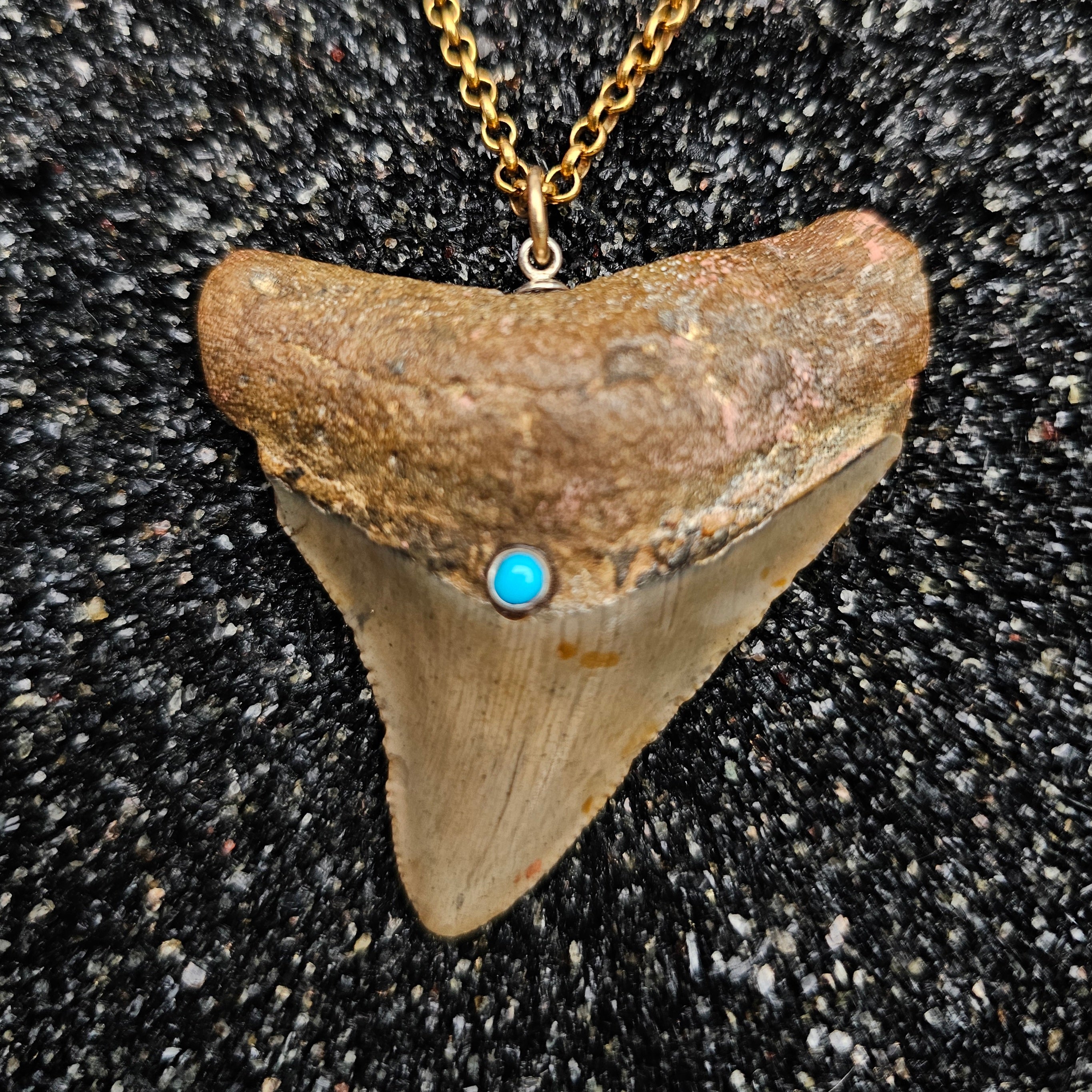 The Relic Necklace (Brown Megalodon Tooth With Sleeping Beauty